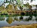 adda (120)
